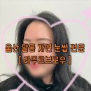 남구-163 | 울산 자연 눈썹 남구 달동 자연스러운 수지 눈썹 내돈내산 라무르브로우