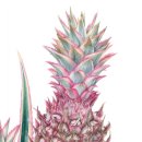 보태니컬 아트(기초) 이미지