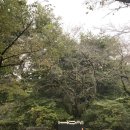 호암미술관 이미지