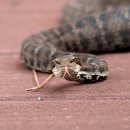 중문올레 이미지