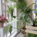 방배중앙로15길 2 이미지