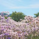 충효당 화장실 이미지