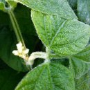 복이네 농장 이미지