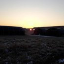 해돋이2농장 이미지