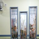 골프존 대림점 이미지