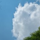[부산] 화명 수목원, 부산피크닉명소 소풍스팟추천 소풍후기