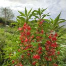 연정농장 이미지