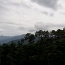 박재현컨설팅행정사사무소