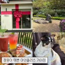 가야플러스 | 김해 애견동반 대형카페 추천 | 넓은 정원이 예쁜 아덴플러스 가야점 후기