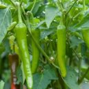 필라테스요가B 이미지