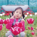 삼학도 중앙공원 이미지