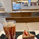 중앙대로 | 슬로우터틀 중앙대로점 케이크가 맛있는 카페 찾는다면