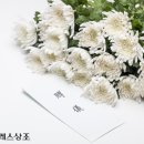 한장례 이미지
