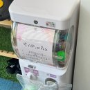 뽑기야놀자 이미지