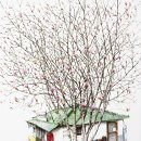 서생상회 이미지