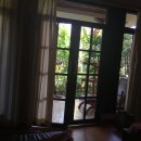 더퓨리스트