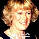 사치 이미지