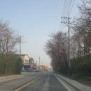 개나리온천 이미지