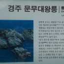 용궁민박 이미지