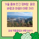 내품에햇살 | 가을 품에 안긴 정취암 맑은 바람과 마음이 머문 자리