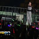 신지교 - 횡성군 | 신지교