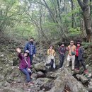 한라산둘레길 돌오름길 이미지