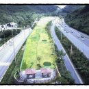 웅상파크골프 이미지