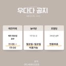 우다다애견 | [ 전남 무안 ] 광주 근교 애견 카페 , 우다다 ( 내 돈 내산 후기 )