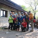 비둘기한국@ 이미지