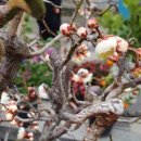 용수목욕탕 이미지