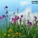 다복행정사사무소 이미지