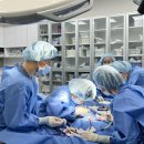 부여동물병원 이미지