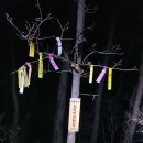 주남마을길(주남동433-3) | 낙동정맥 24구간 양산 천성산(千聖山 922) 220312