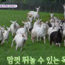 옥전목장 티스토리