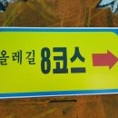 월평하원로 티스토리