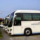 와이드대성 이미지