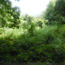 자산동205 이미지