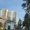 영진보람아파트 이미지