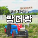 팜더랑