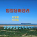 김영석 행정사 이미지