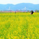 금호강8 이미지