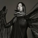 퍼피루미 루리웹 뉴스보드