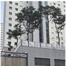 봉담자이라피네공인중개사사무소 | 봉담부동산 봉담자이라피네에서 만나는 부동산 이야기