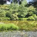 호수민박 이미지