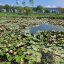 낙동강관리본부 화명생태공원 8 이미지