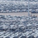 대미플러스 이미지