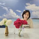 동안구보건소 이미지