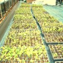 최신농장 이미지