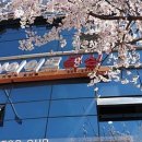 J다이어트 복싱 체육관 이미지