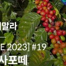 그린에어로빅 이미지